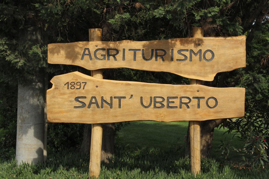 Agriturismo Sant'Uberto Bolgheri Exteriör bild